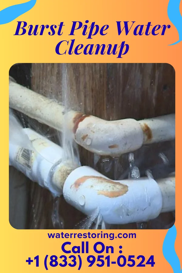 Burst Pipe Water Cleanup in Mahnomen, MN