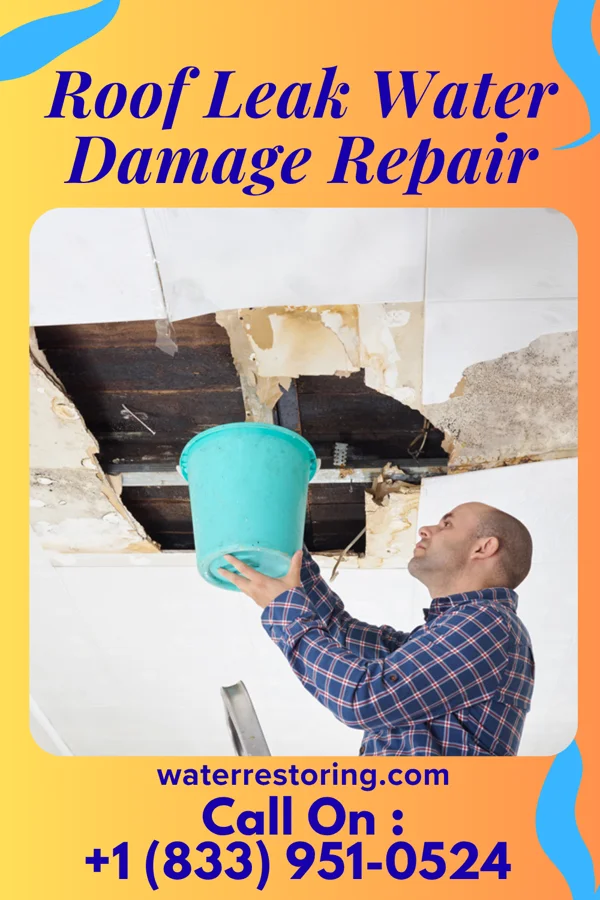 Roof Leak Water Damage Repair in Mahnomen, MN