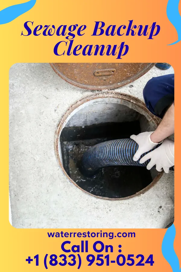 Sewage Backup Cleanup in Mahnomen, MN