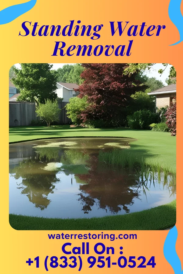 Standing Water Removal in Mahnomen, MN